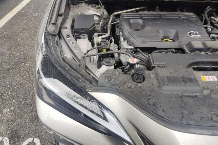 Used Lexus NX 2024 260 Front-Wheel Drive Chuanchi Edition Engine Bay Right