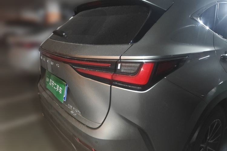 Used Lexus NX 2024 350h All-Wheel Drive Adventure Edition Rear