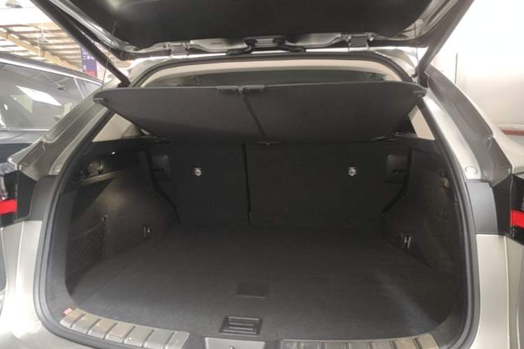 Used Lexus NX 2024 260 Front-Wheel Drive Chuanchi Edition Trunk