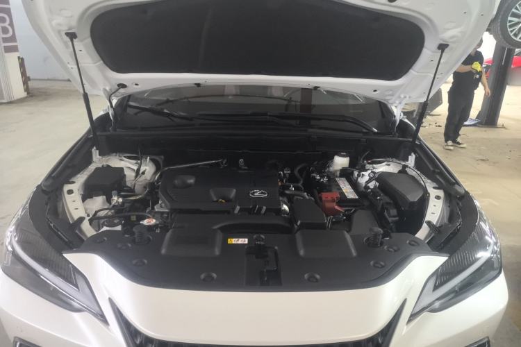 Used Lexus NX 2024 260 Front-Wheel Drive Chuanchi Edition Engine Bay