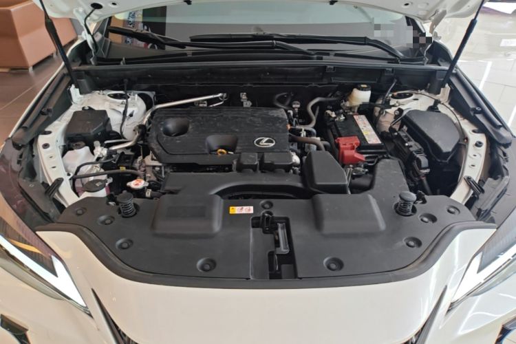 Used Lexus NX 2024 260 Front-Wheel Drive Chuanchi Edition Engine Bay