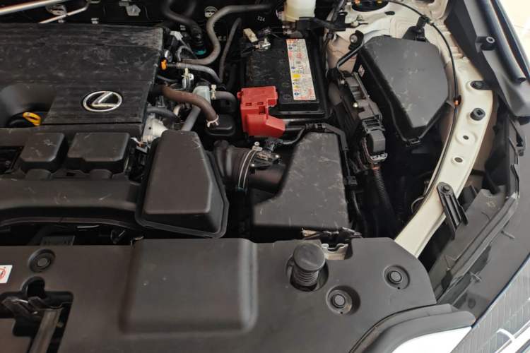 Used Lexus NX 2024 260 Front-Wheel Drive Chuanchi Edition Engine Bay Left
