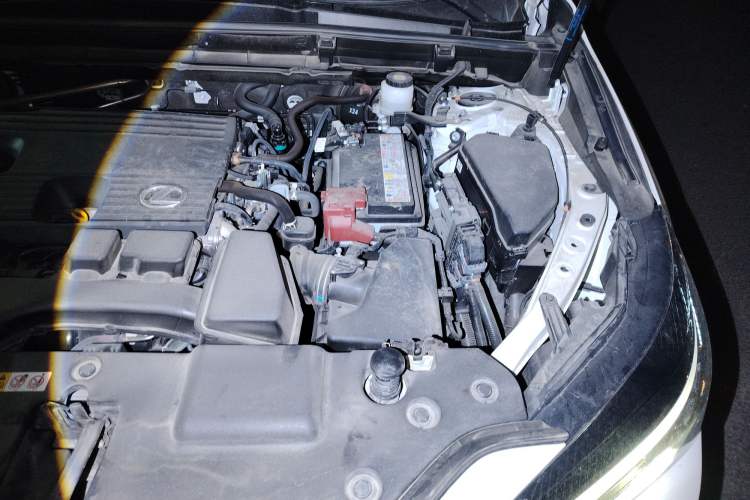 Used Lexus NX 2024 260 Front-Wheel Drive Chuan Yue Edition Engine Bay Left