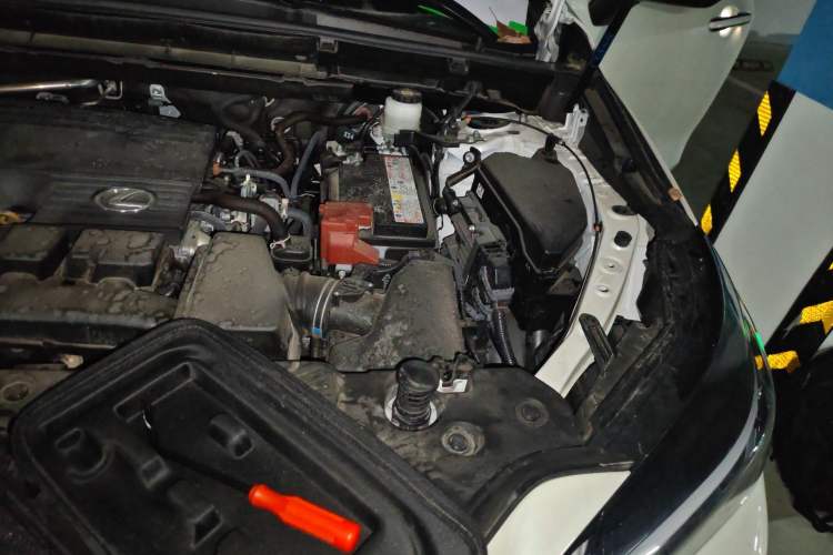 Used Lexus NX 2024 260 Front-Wheel Drive Chuan Yue Edition Engine Bay Left