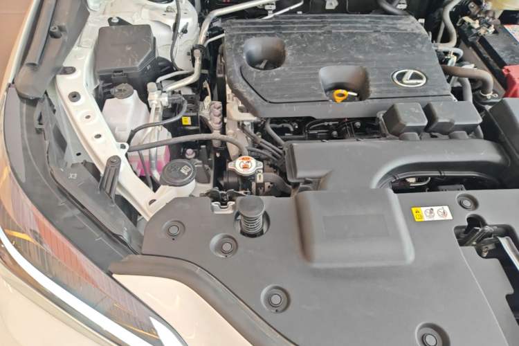 Used Lexus NX 2024 260 Front-Wheel Drive Chuanchi Edition Engine Bay Right