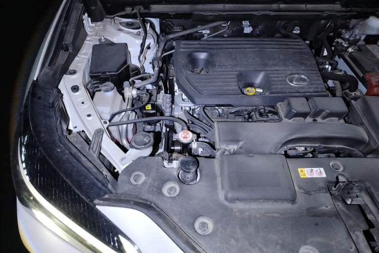 Used Lexus NX 2024 260 Front-Wheel Drive Chuan Yue Edition Engine Bay Right