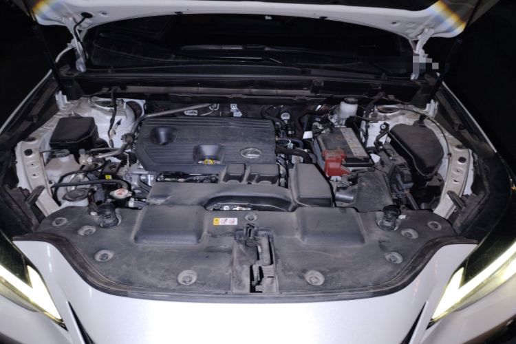 Used Lexus NX 2024 260 Front-Wheel Drive Chuan Yue Edition Engine Bay