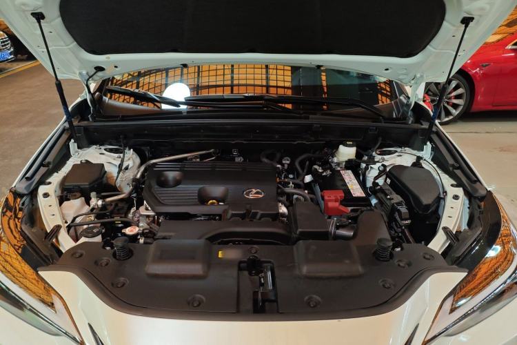 Used Lexus NX 2024 260 Front-Wheel Drive Chuan Yue Edition Engine Bay