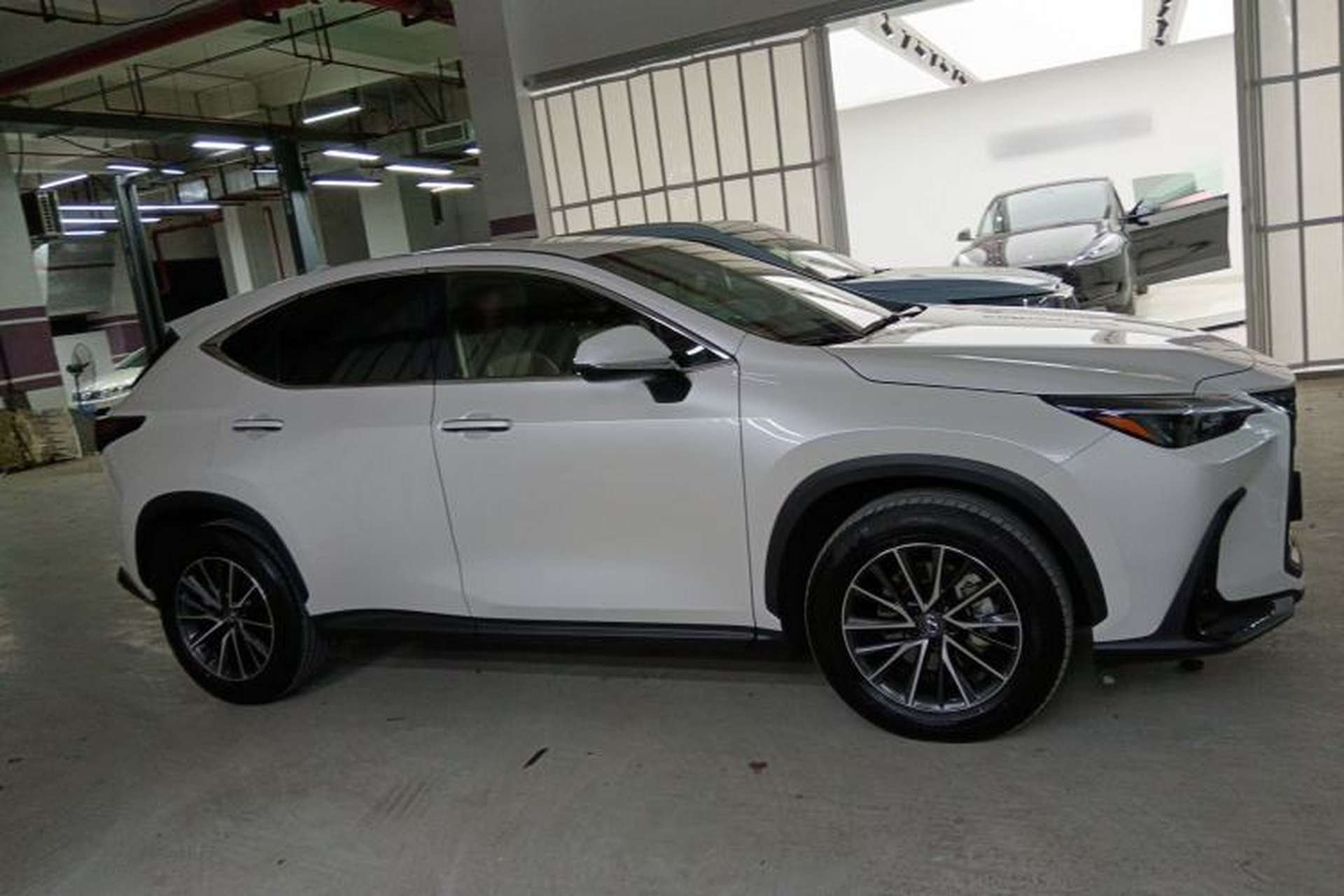 Used Lexus NX 2024 260 Front-Wheel Drive Chuanchi Edition Exterior 2