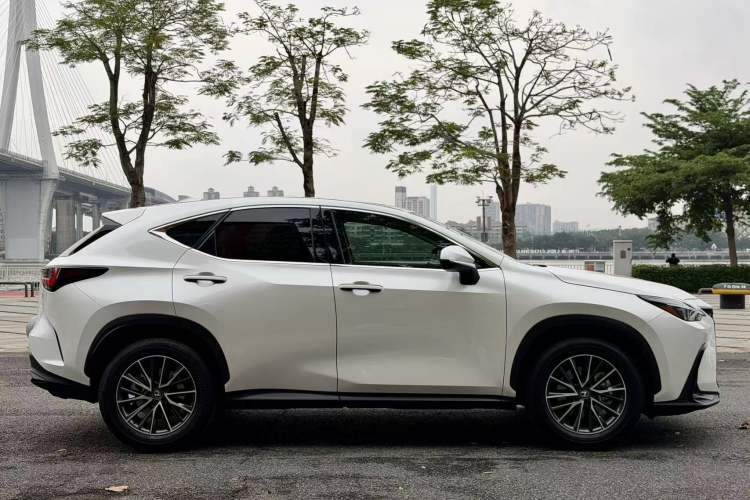 Used Lexus NX 2024 260 Front-Wheel Drive Chuan Yue Edition Exterior 3