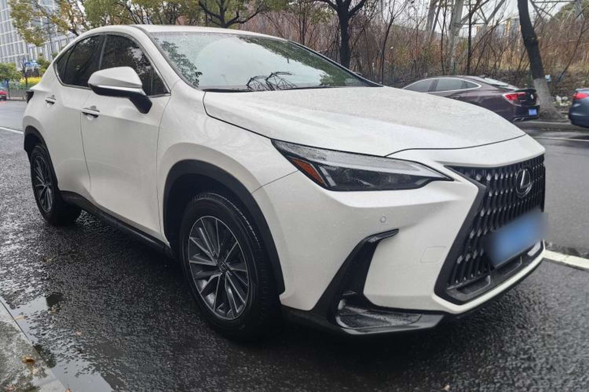Used Lexus NX 2024 350h Front-Drive Elite Edition Exterior 4