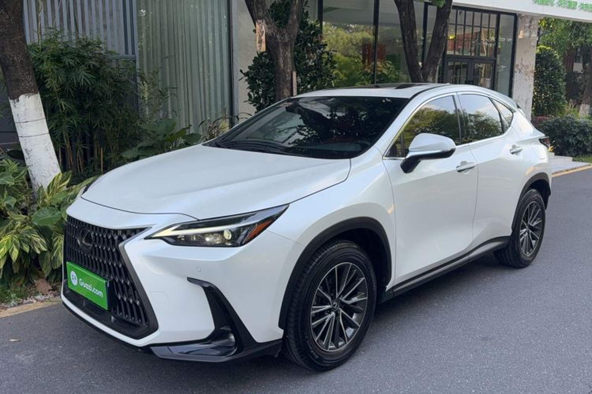 Used Lexus NX 2024 260 Front-Wheel Drive Chuan Yue Edition Front Left 45 Deg
