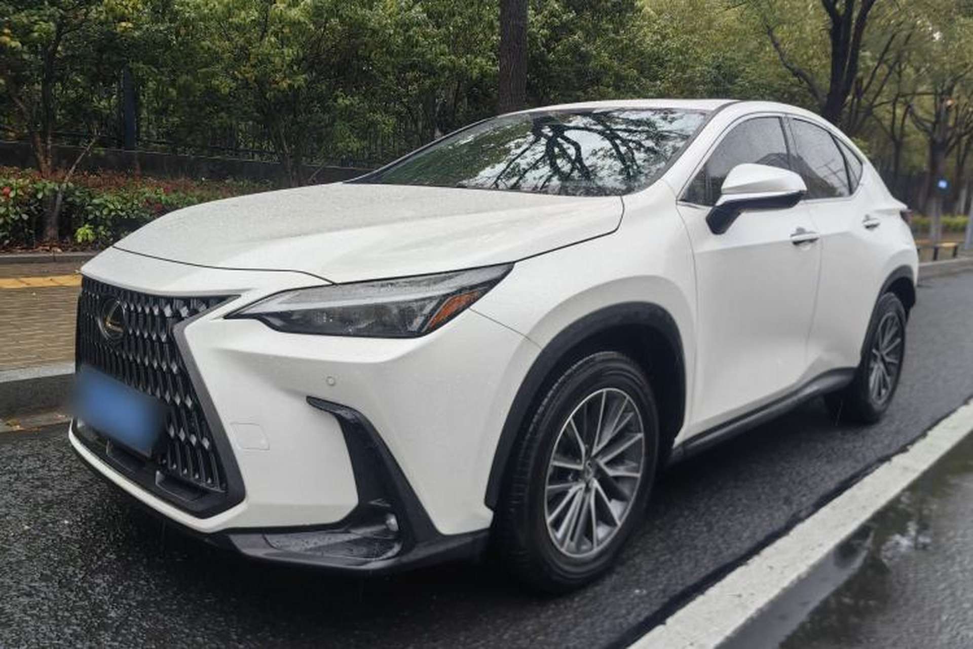 Used Lexus NX 2024 350h Front-Drive Elite Edition Front Left 45 Deg