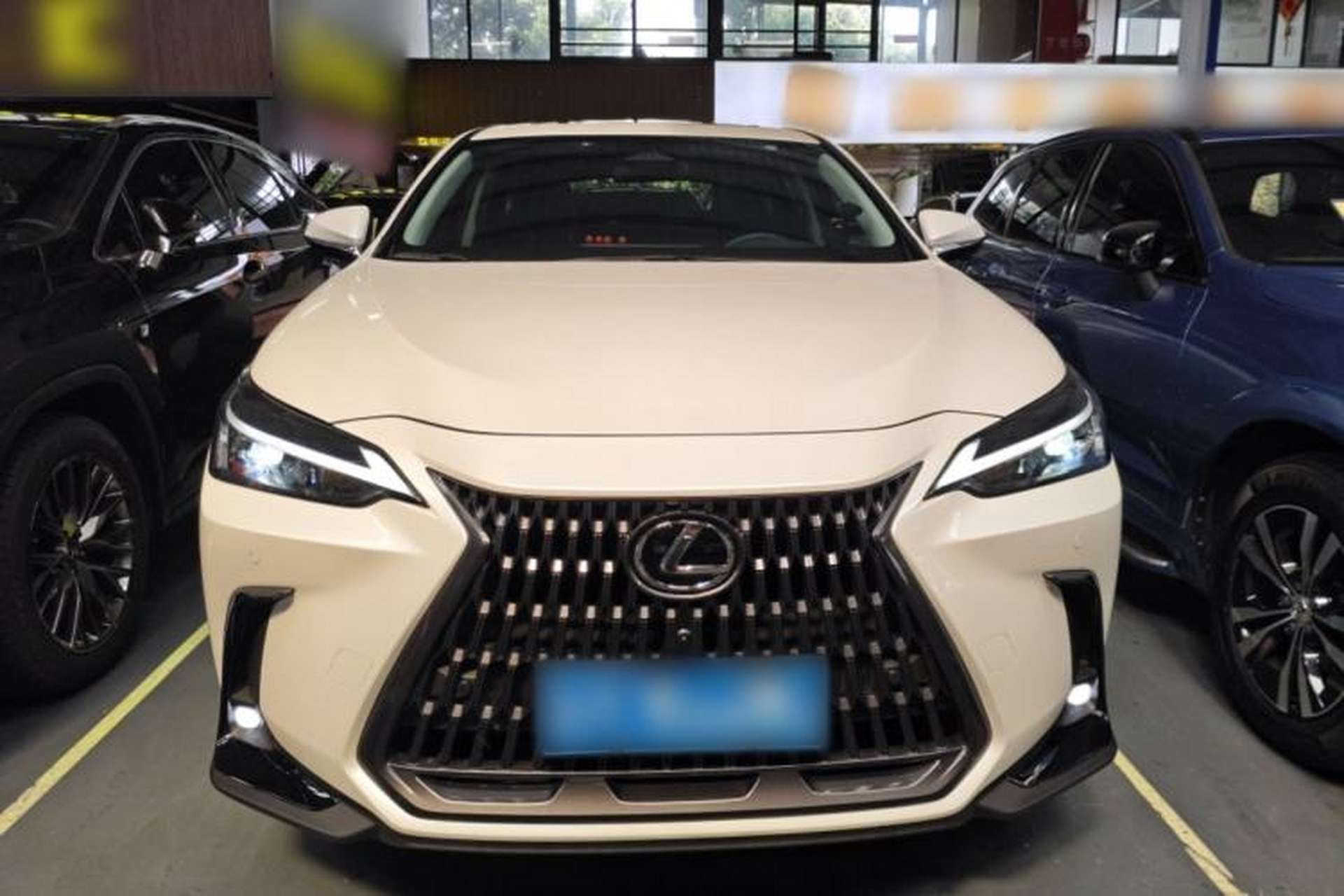 Used Lexus NX 2024 350h Front-Drive Elite Edition Front