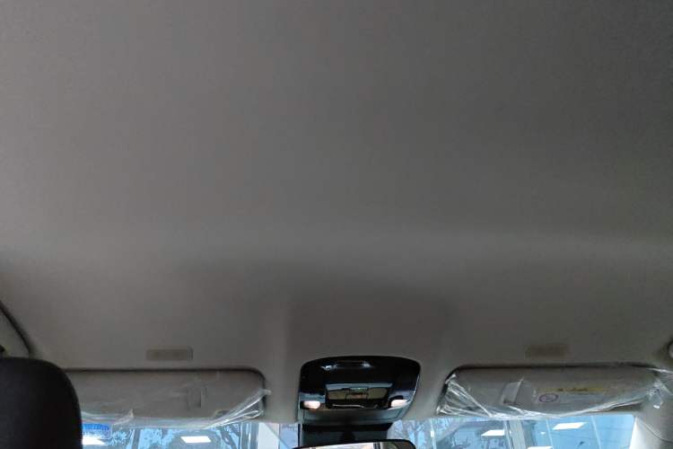 Used Lexus NX 2024 260 Front-Wheel Drive Chuanchi Edition Headliner
