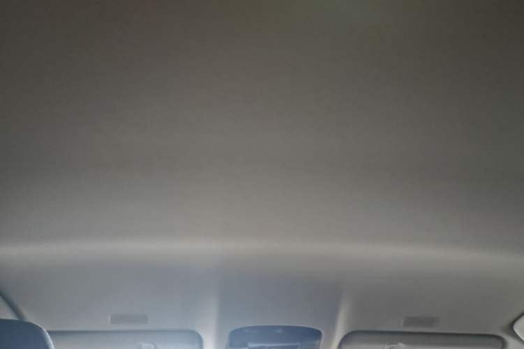 Used Lexus NX 2024 260 Front-Wheel Drive Chuanchi Edition Headliner