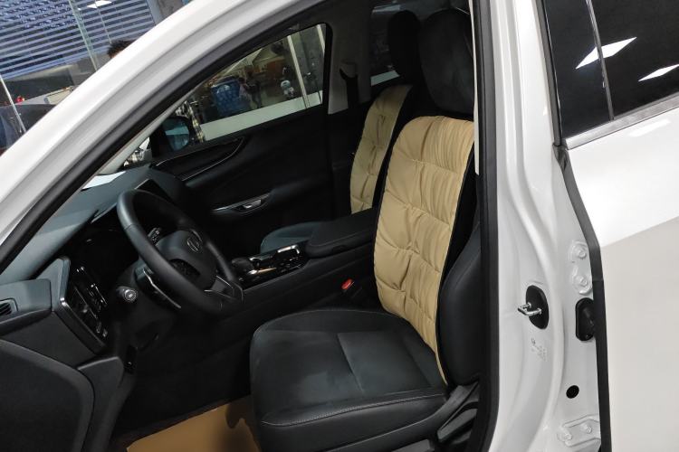 Used Lexus NX 2024 260 Front-Wheel Drive Chuanchi Edition Left Front Seat