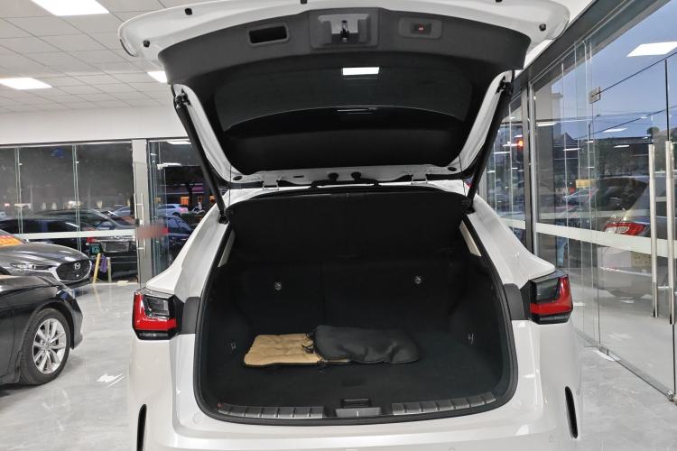 Used Lexus NX 2024 260 Front-Wheel Drive Chuanchi Edition Trunk