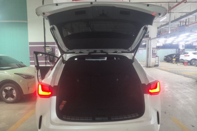 Used Lexus NX 2024 260 Front-Wheel Drive Chuanchi Edition Trunk