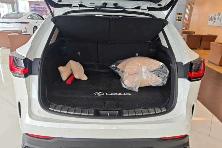 Used Lexus NX 2024 260 Front-Wheel Drive Chuanchi Edition Trunk