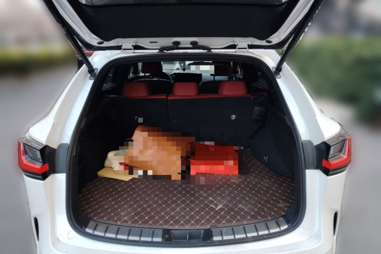 Used Lexus NX 2024 260 Front-Wheel Drive Chuan Yue Edition Trunk