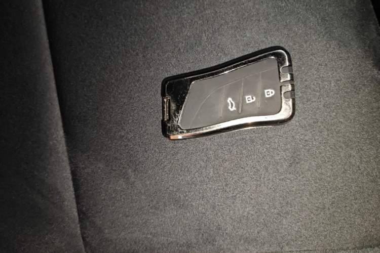 Used Lexus NX 2024 260 Front-Wheel Drive Chuanchi Edition Vehicle Key