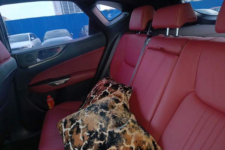 Used Lexus NX 2025 Model 200 FUN Left Rear Seat