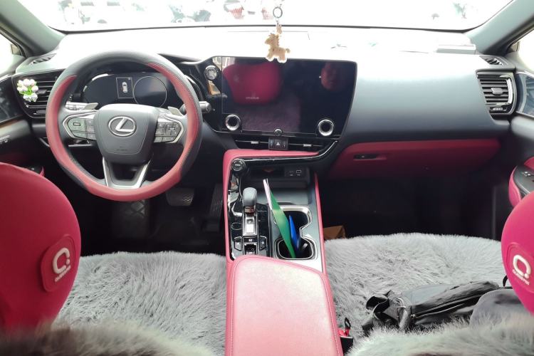 Used Lexus NX 2025 260 Front-Wheel Drive Special Edition Center Console