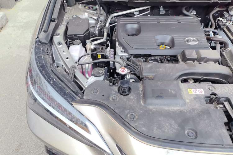 Used Lexus NX 2025 260 Front-Wheel Drive Special Edition Engine Bay Right