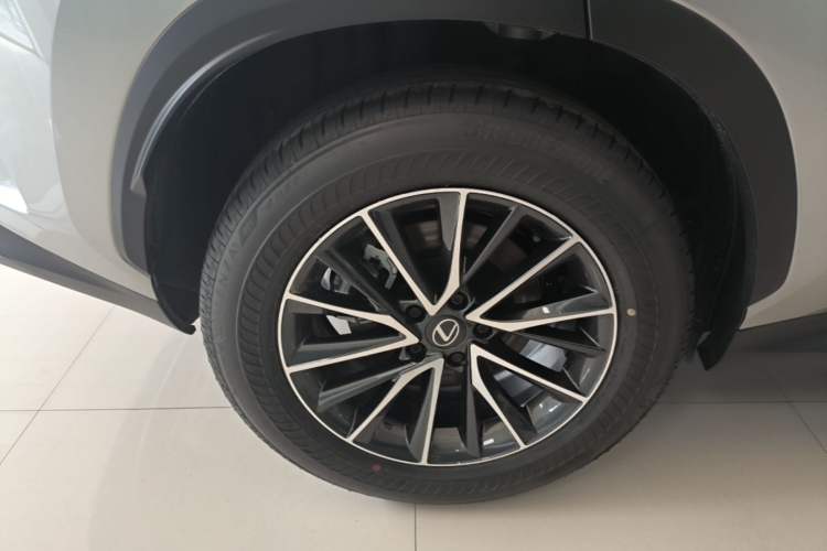 Used Lexus NX 2025 Model 200 FUN Exterior 5