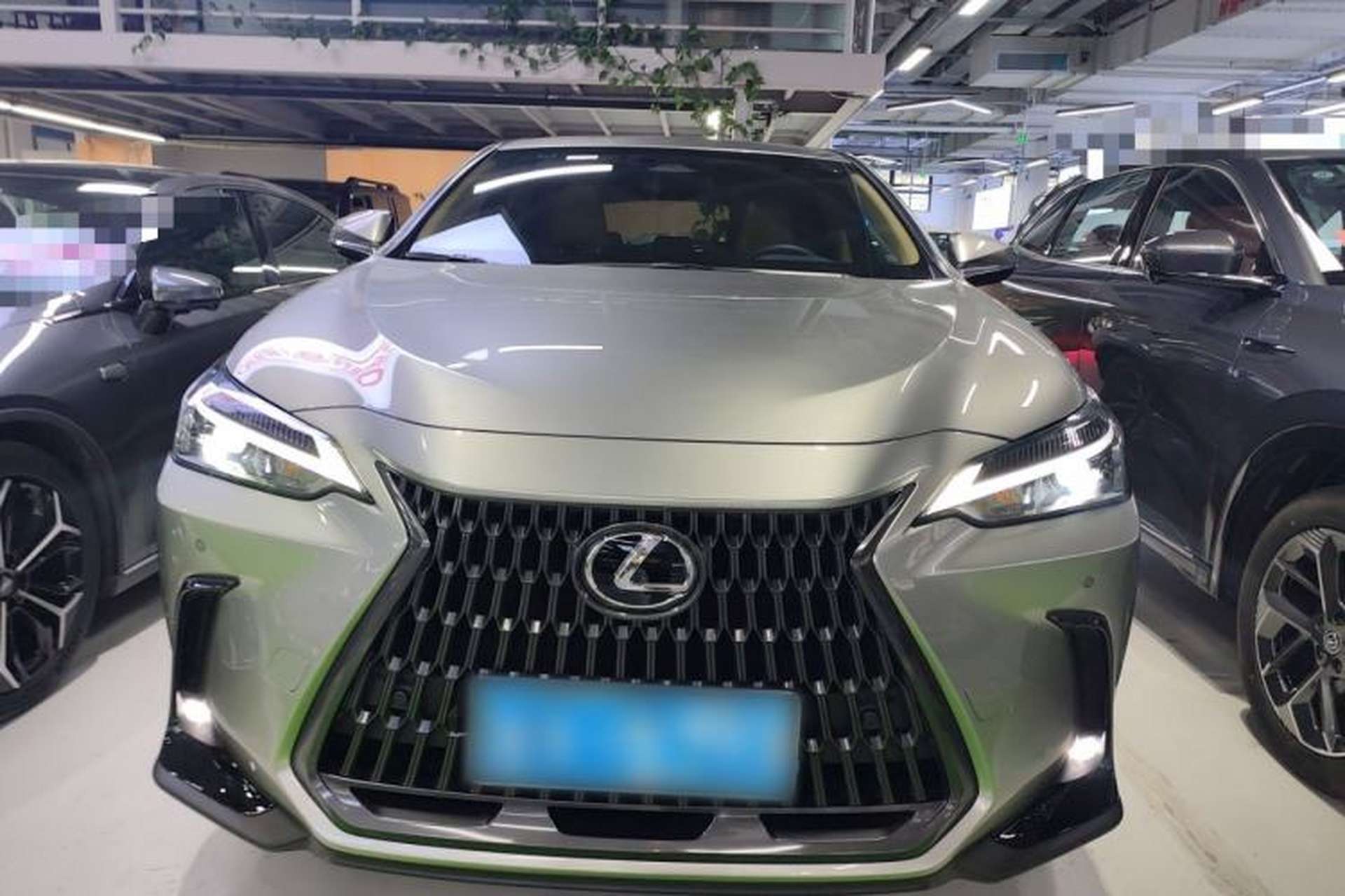 Used Lexus NX 2025 260 Front-Wheel Drive Special Edition Front