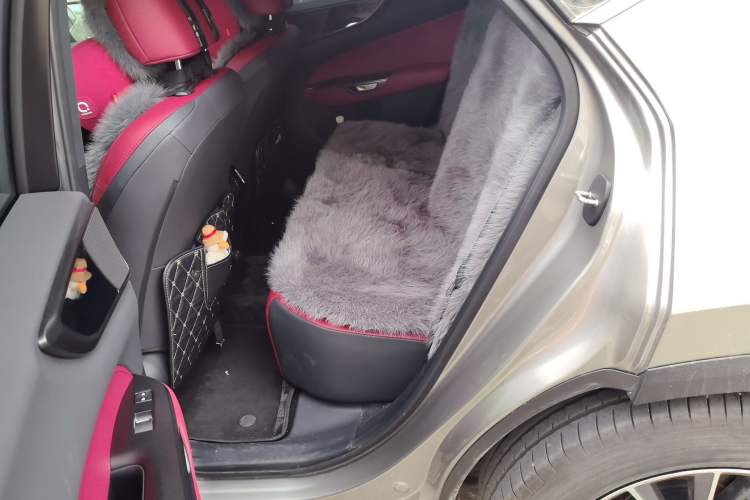 Used Lexus NX 2025 260 Front-Wheel Drive Special Edition Left Rear Seat