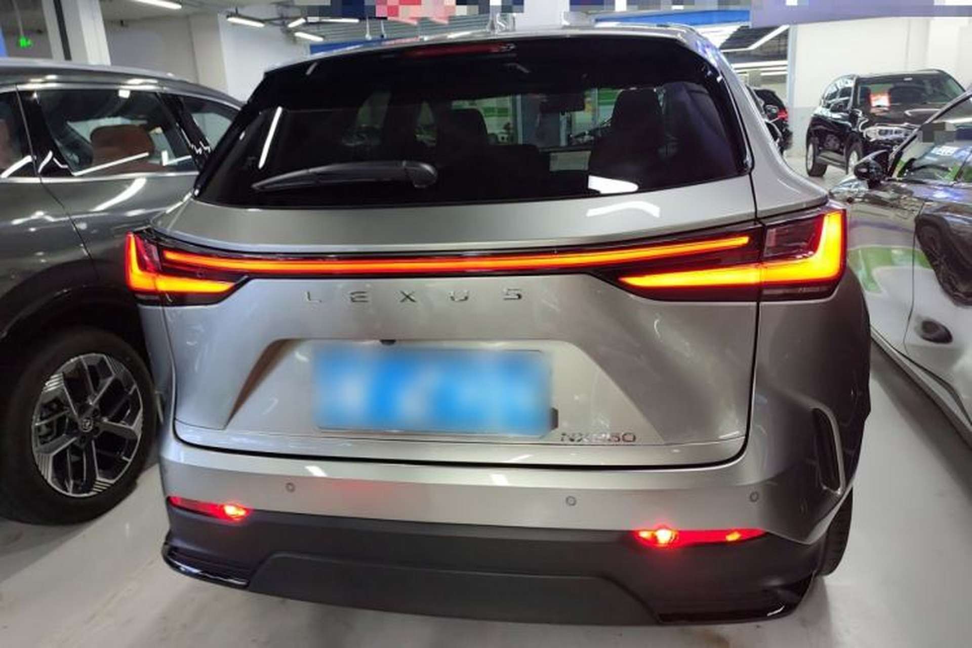 Used Lexus NX 2025 260 Front-Wheel Drive Special Edition Rear