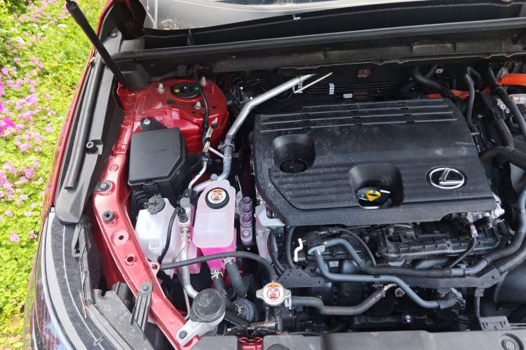 Used Lexus NX 2025 Model 350h JOY X Engine Bay Right
