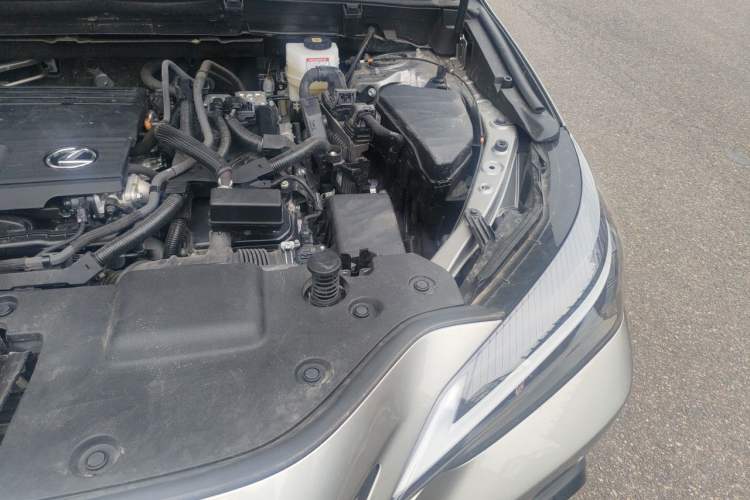 Used Lexus NX 2025 Model 350h JOY Engine Bay Left