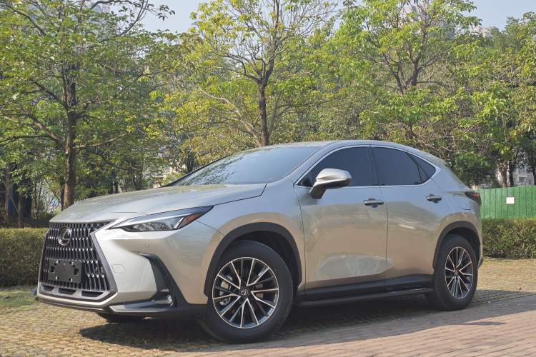 Used Lexus NX 2025 Model 350h JOY Exterior 1