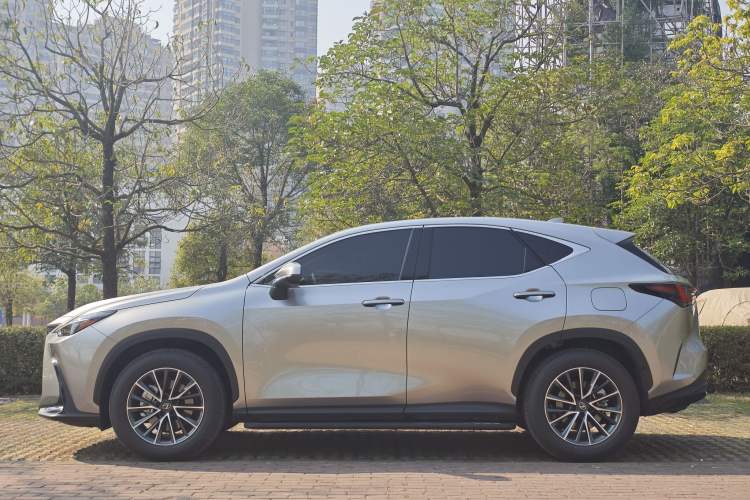 Used Lexus NX 2025 Model 350h JOY Exterior 4