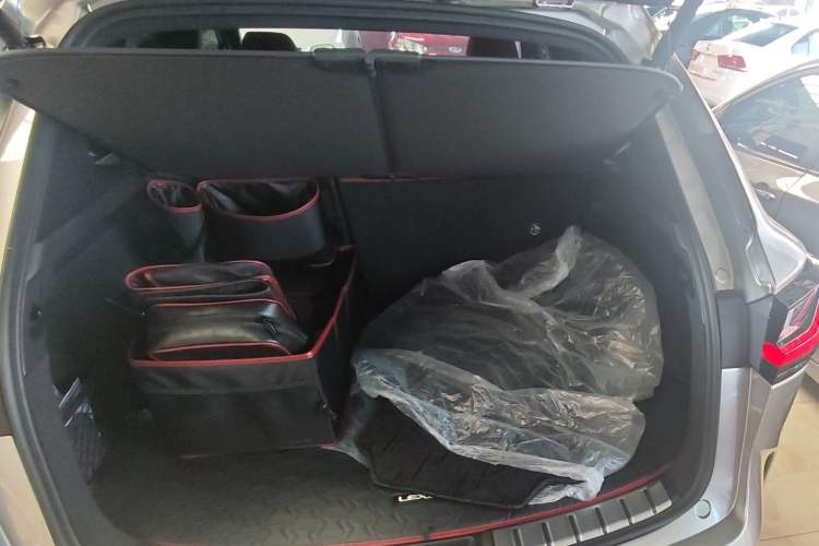 Used Lexus NX 2025 Model 350h JOY Trunk