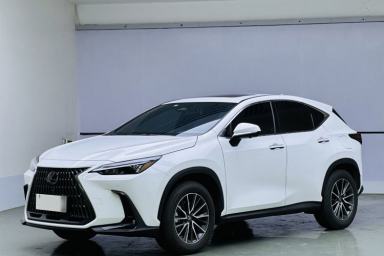 Used Lexus NX 2025 Model 200 FUN