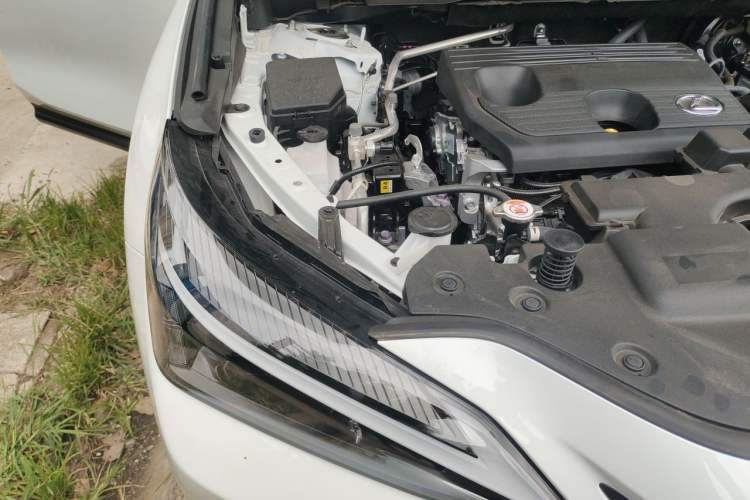 Used Lexus NX 2025 Model 200 FUN Engine Bay Right