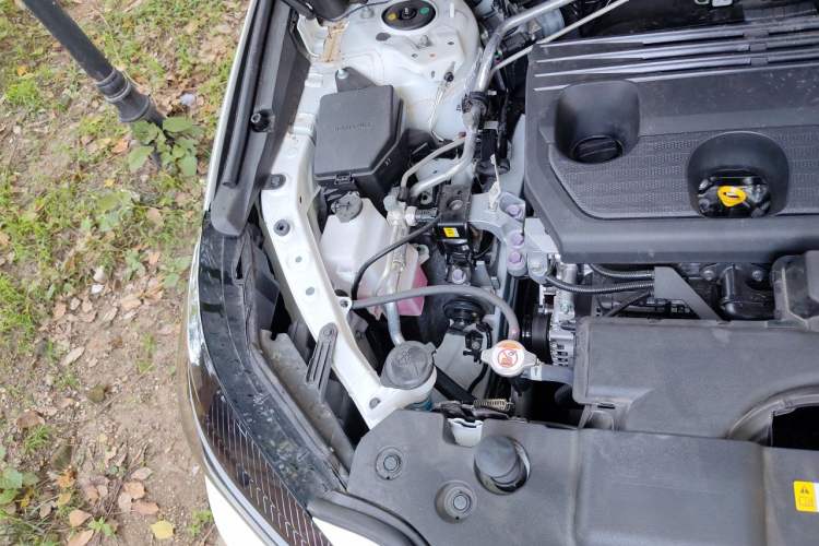 Used Lexus NX 2025 Model 200 FUN Engine Bay Right