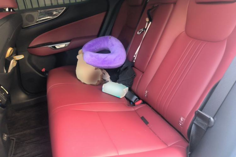 Used Lexus NX 2025 260 Front-Wheel Drive Special Edition Left Rear Seat