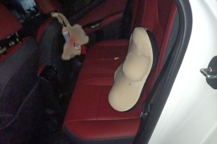 Used Lexus NX 2025 Model 200 FUN Left Rear Seat