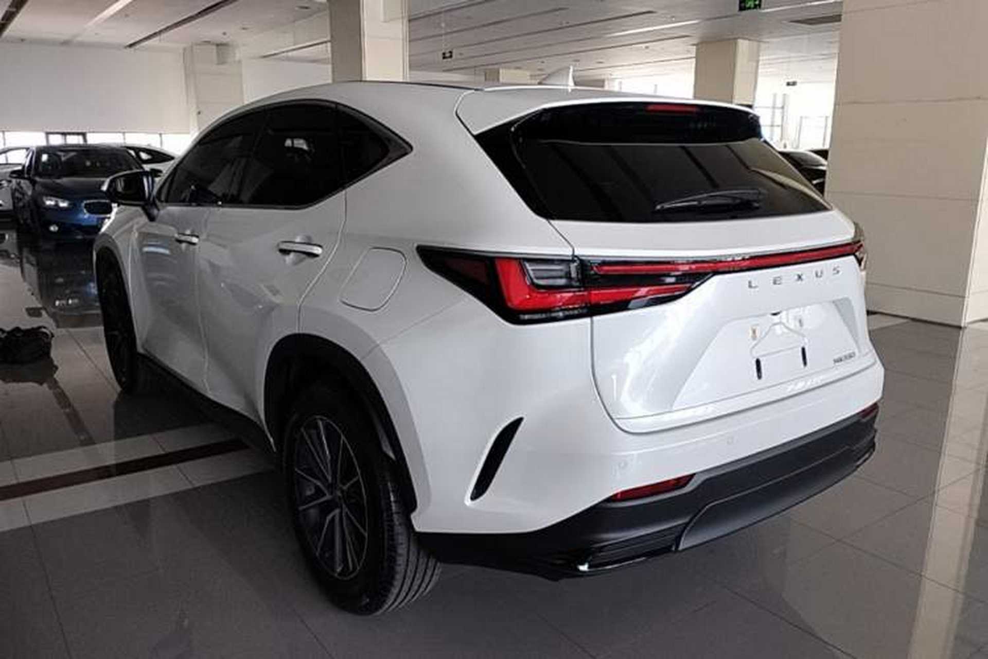 Used Lexus NX 2025 260 Front-Wheel Drive Special Edition Rear Left 45 Deg