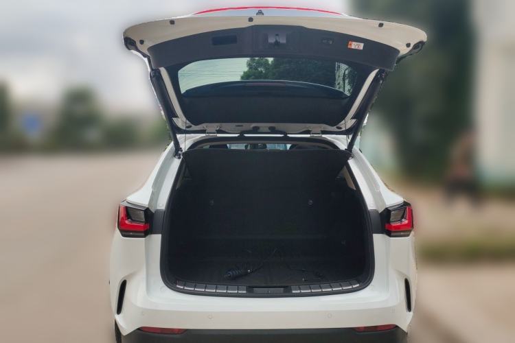 Used Lexus NX 2025 Model 200 FUN Trunk
