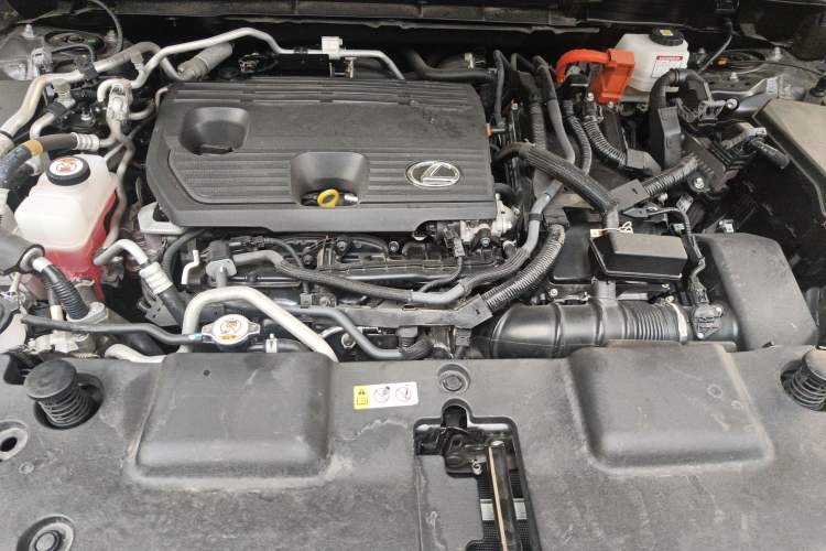 Used Lexus NX New Energy 2022 400h+ Comfort Edition Engine Bay