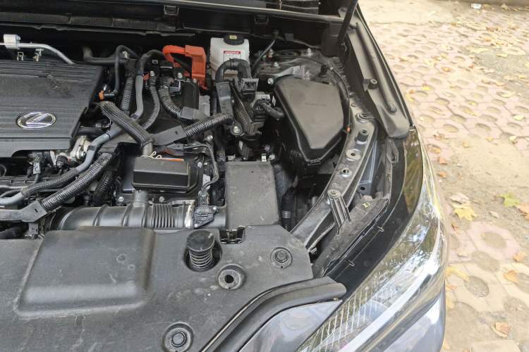 Used Lexus NX New Energy 2022 400h+ Comfort Edition Engine Bay Left