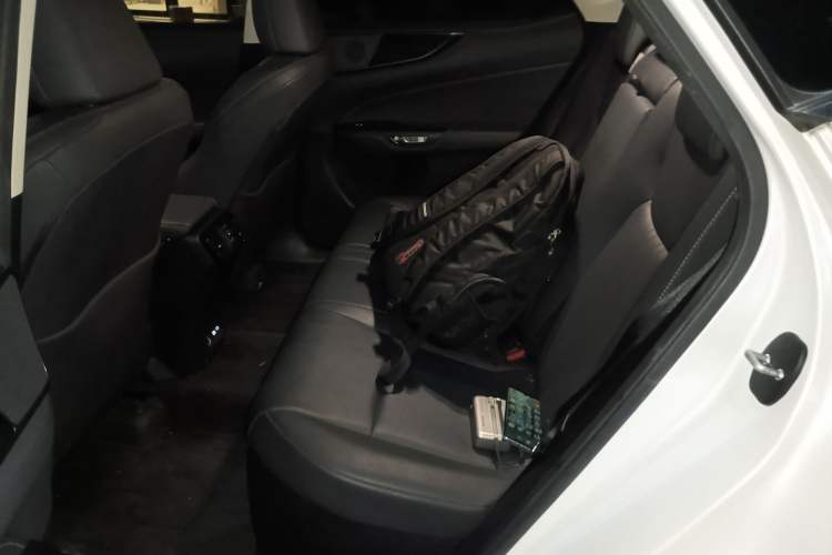 Used Lexus NX New Energy 2022 400h+ Comfort Edition Left Rear Seat