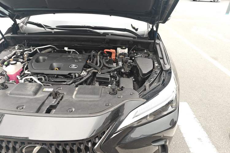 Used Lexus NX New Energy 2022 400h+ Comfort Edition Engine Bay Left
