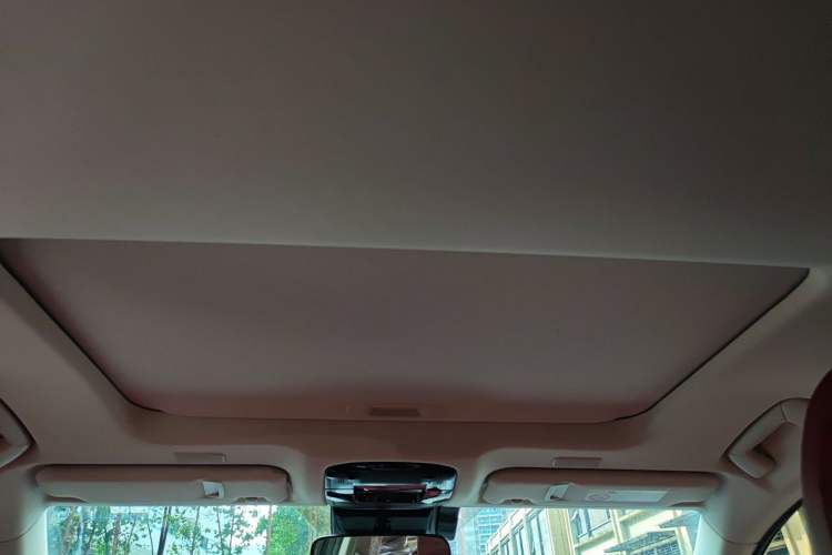 Used Lexus NX New Energy 2022 400h+ Comfort Edition Headliner